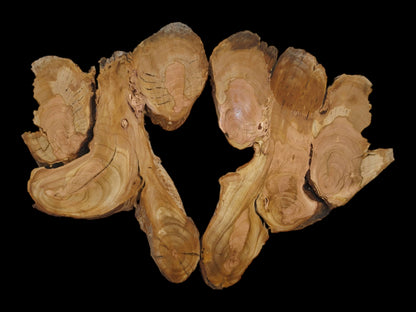 Two light brown wood slices with natural edges and visible growth rings on a black background.