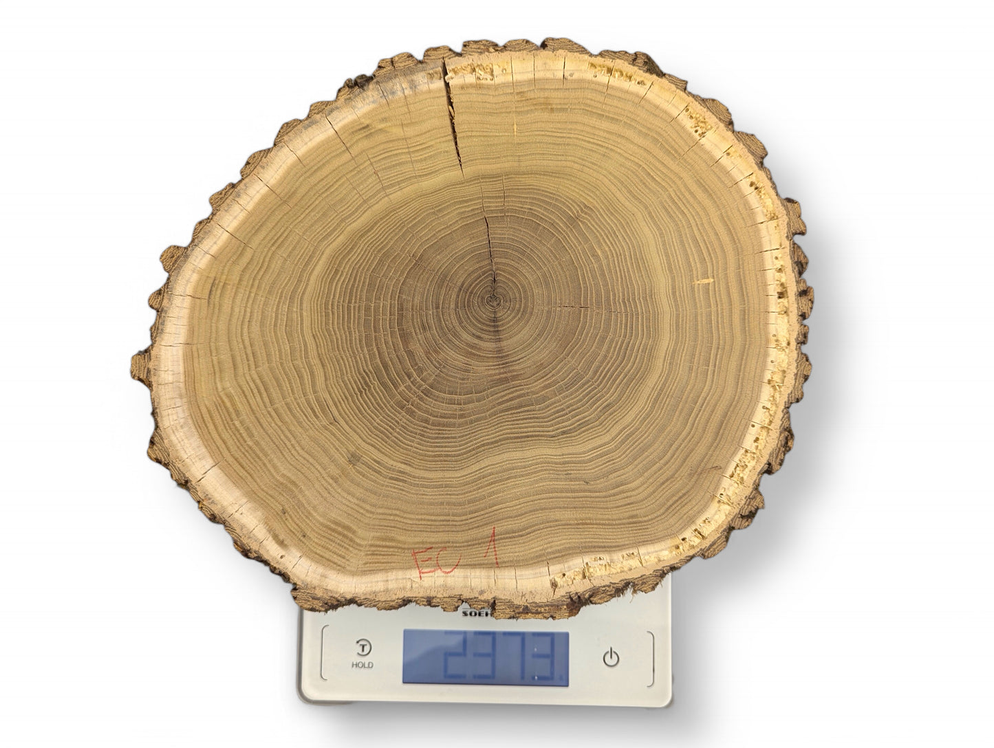 A natural wood slice with visible growth rings and bark weighs 29.73 on a digital scale.