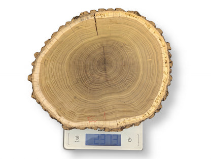 A natural wood slice with visible growth rings and bark weighs 29.73 on a digital scale.
