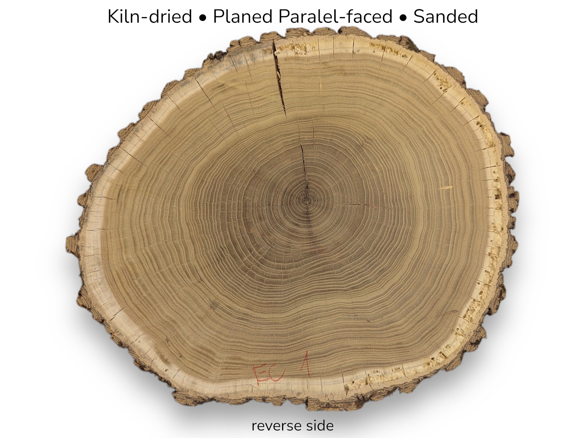 Planed wood round showing bark edge, visible growth rings, radial cracks, and specific preparation text overlay.