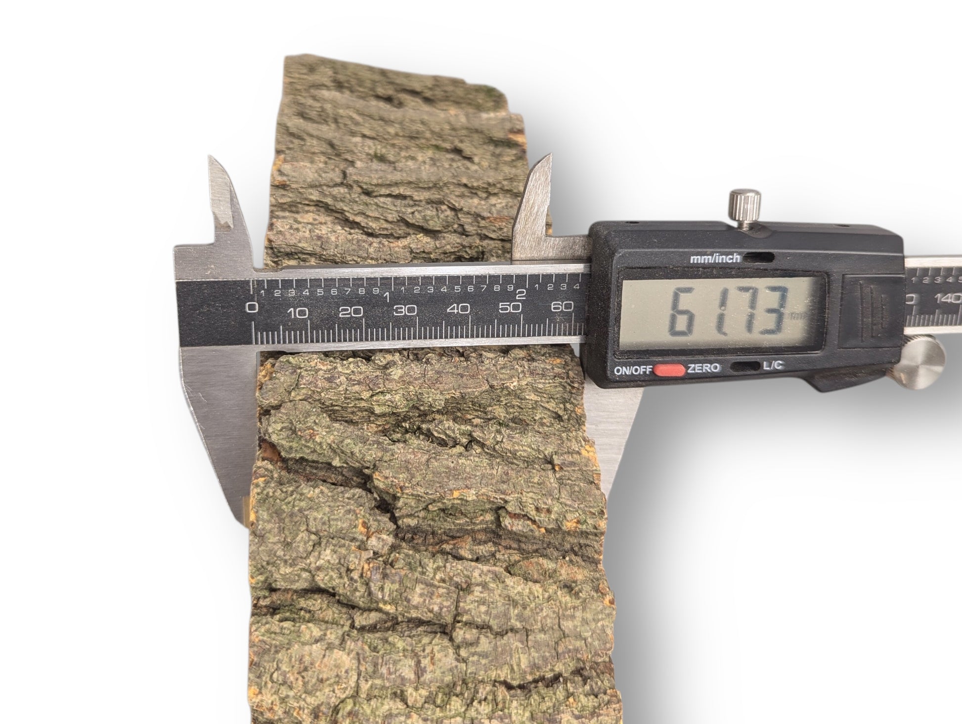 Black and silver digital caliper holds a rough, greenish-brown bark, displaying 61.73 mm measurement.