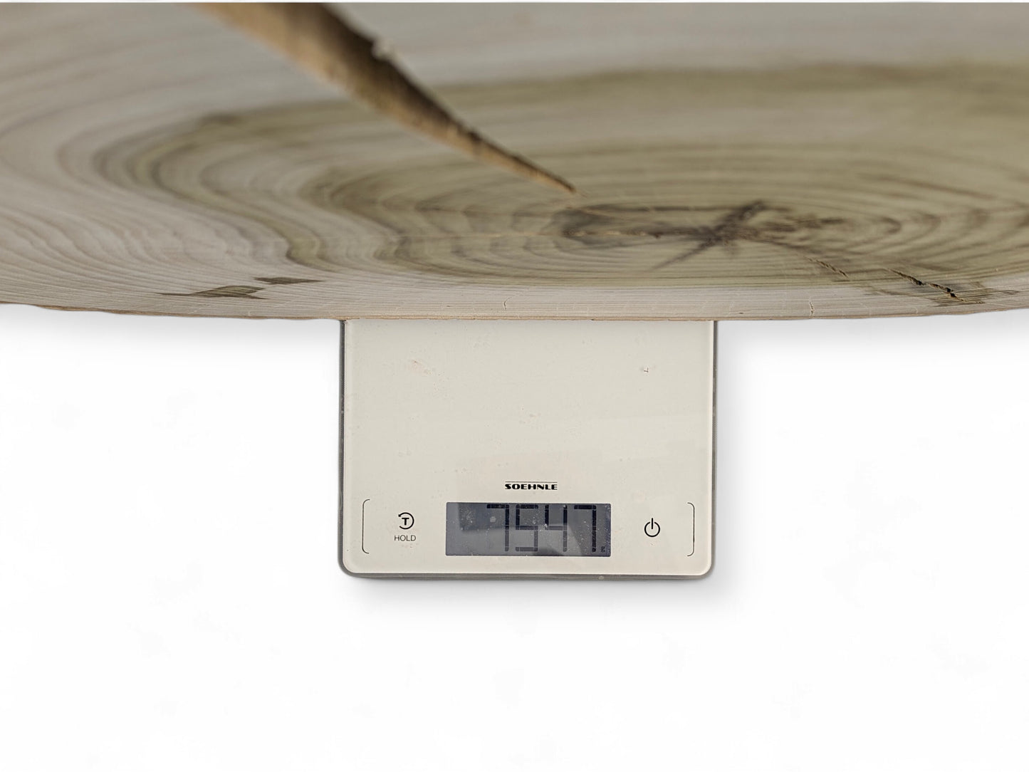 Light-toned wood round with visible growth rings and a crack sitting on a white digital scale.