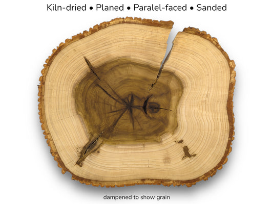 A large fissure splits the top of a timber disc with a dark, star-like central core.