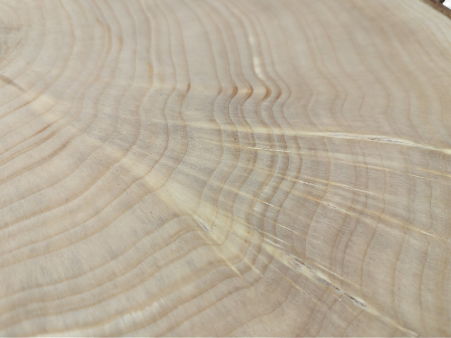 Close-up of a light beige end-grain wood surface with distinct, undulating growth rings and linear cracks.