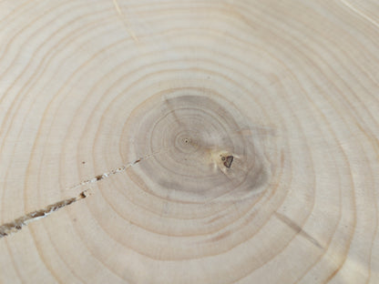 Pale beige end-grain wood surface with concentric annual rings, a long crack, and a small dark knot.