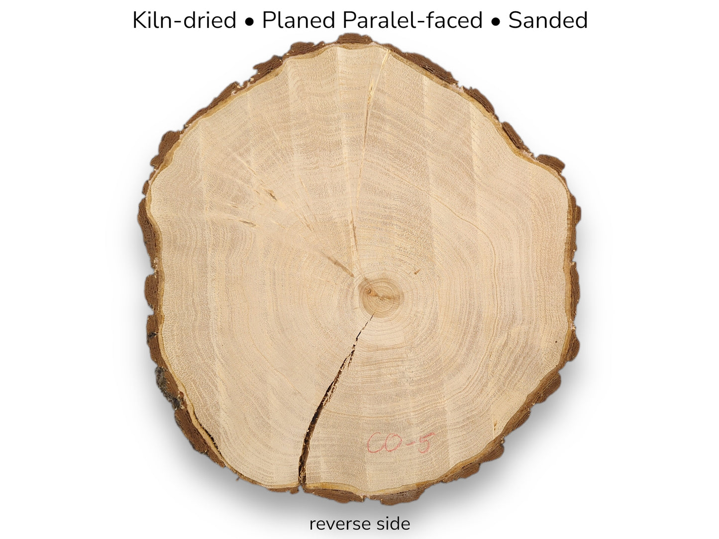 Pale wood slice with bark, distinct annual rings, and a prominent crack. Text mentions processing, 'reverse side'.