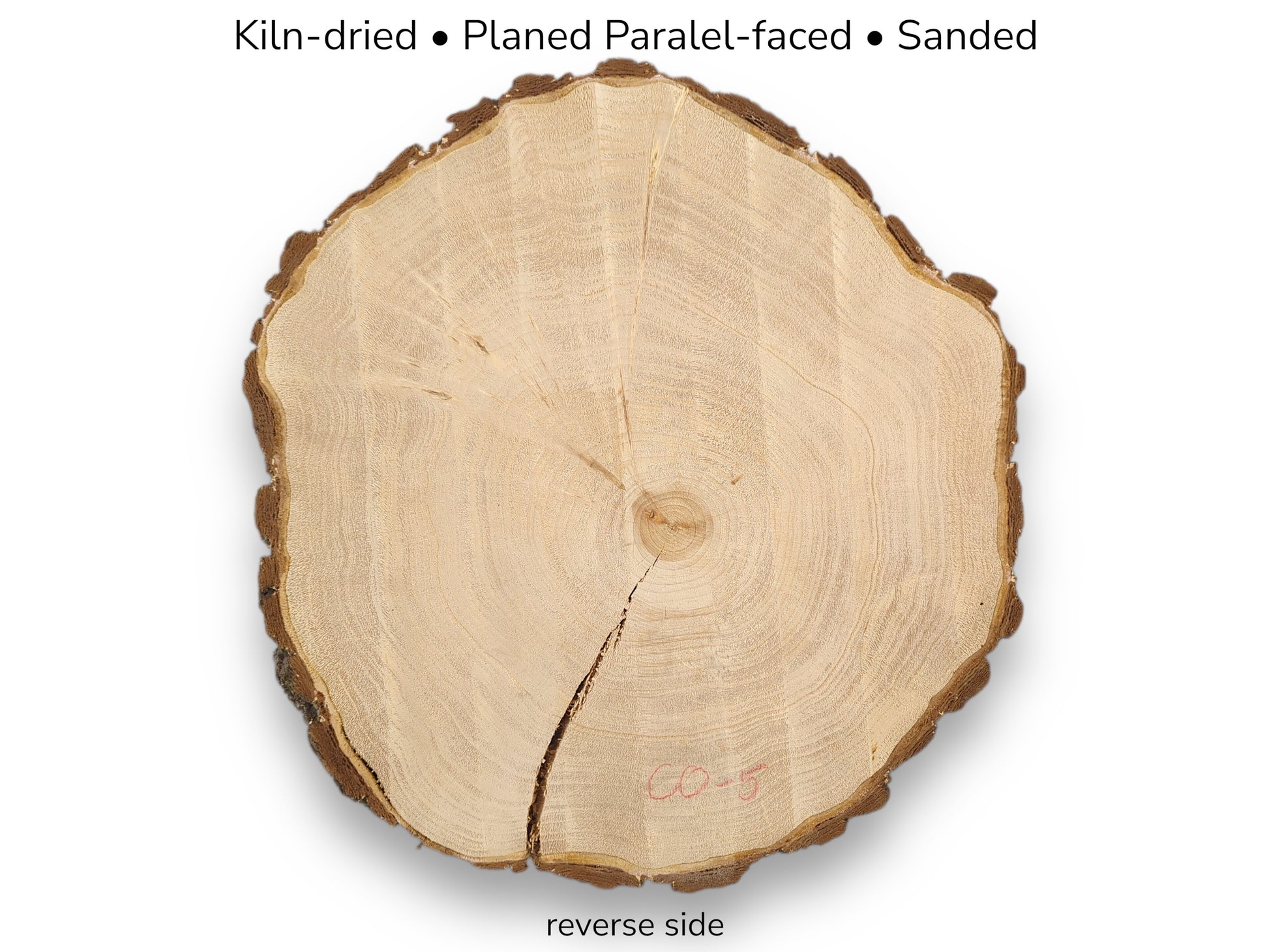 Pale wood slice with bark, distinct annual rings, and a prominent crack. Text mentions processing, 'reverse side'.