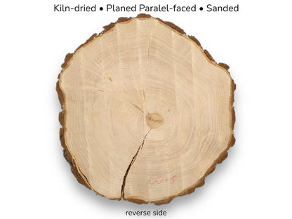 Pale wood slice with bark, distinct annual rings, and a prominent crack. Text mentions processing, 'reverse side'.