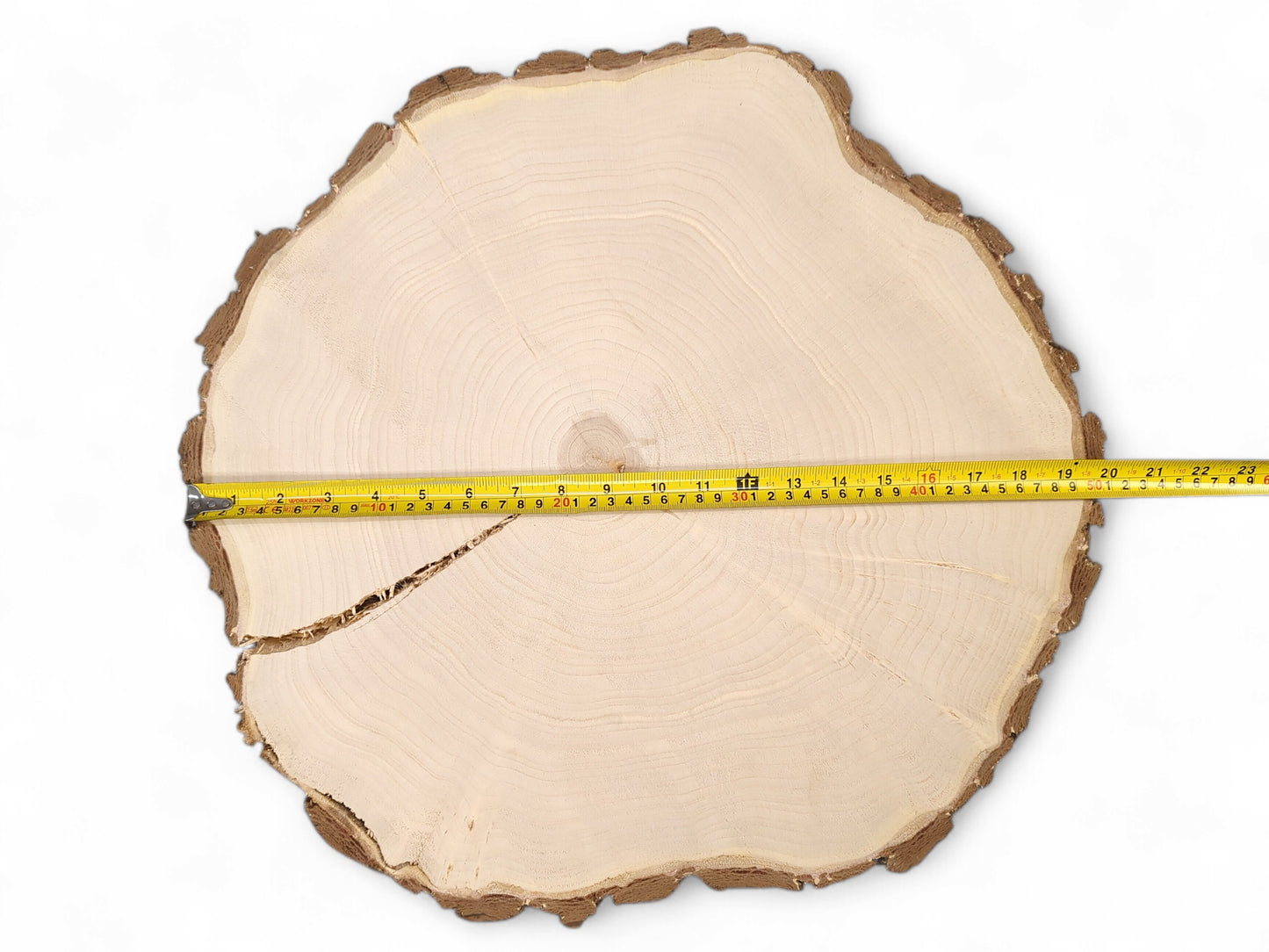 An irregular pale wood round with visible annual rings, rough bark, a crack, and a measuring tape.