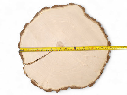 An irregular pale wood round with visible annual rings, rough bark, a crack, and a measuring tape.
