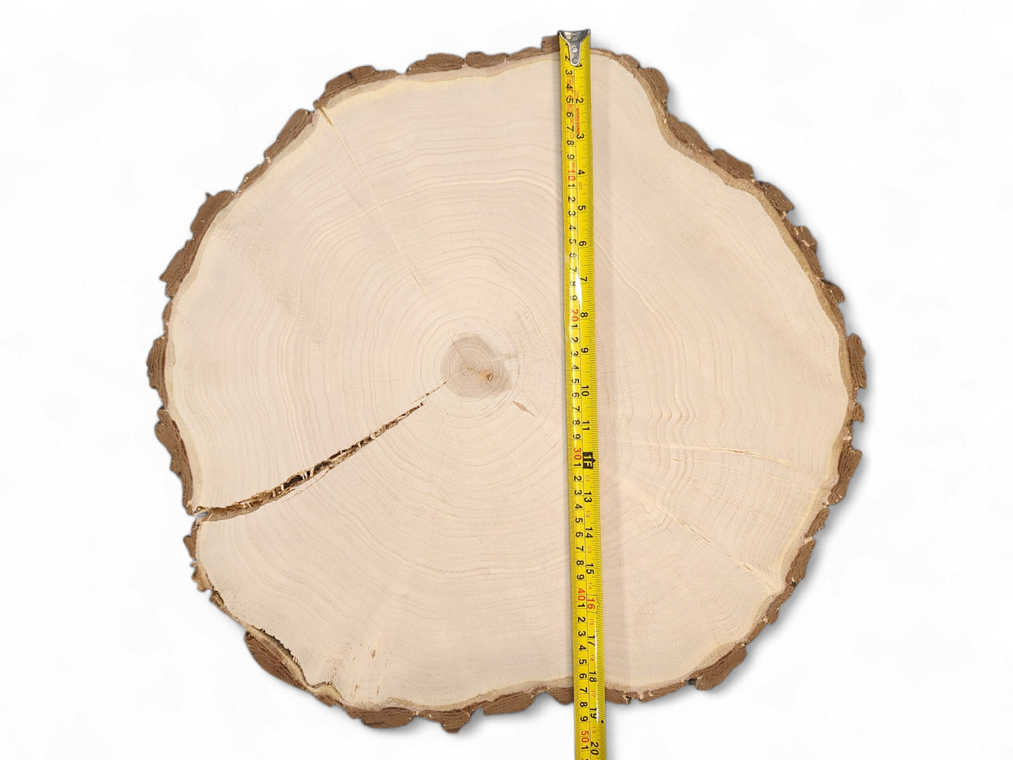 End-grain wood round with rough bark, concentric annual rings, a long crack, and a yellow measuring tape.