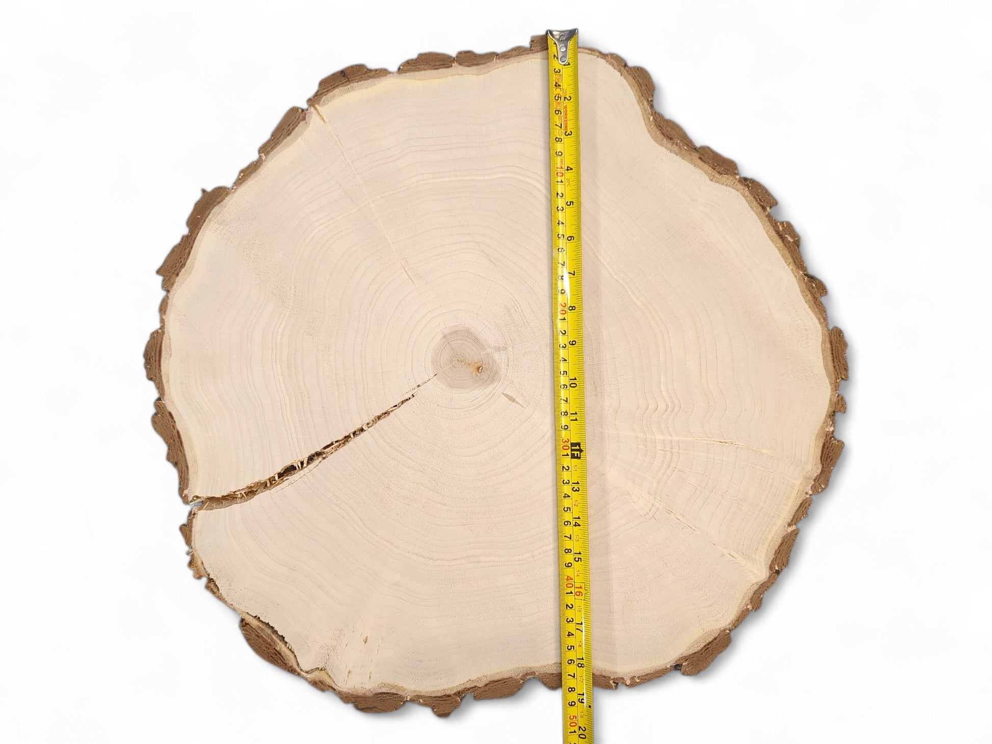 End-grain wood round with rough bark, concentric annual rings, a long crack, and a yellow measuring tape.