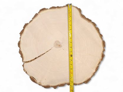 End-grain wood round with rough bark, concentric annual rings, a long crack, and a yellow measuring tape.