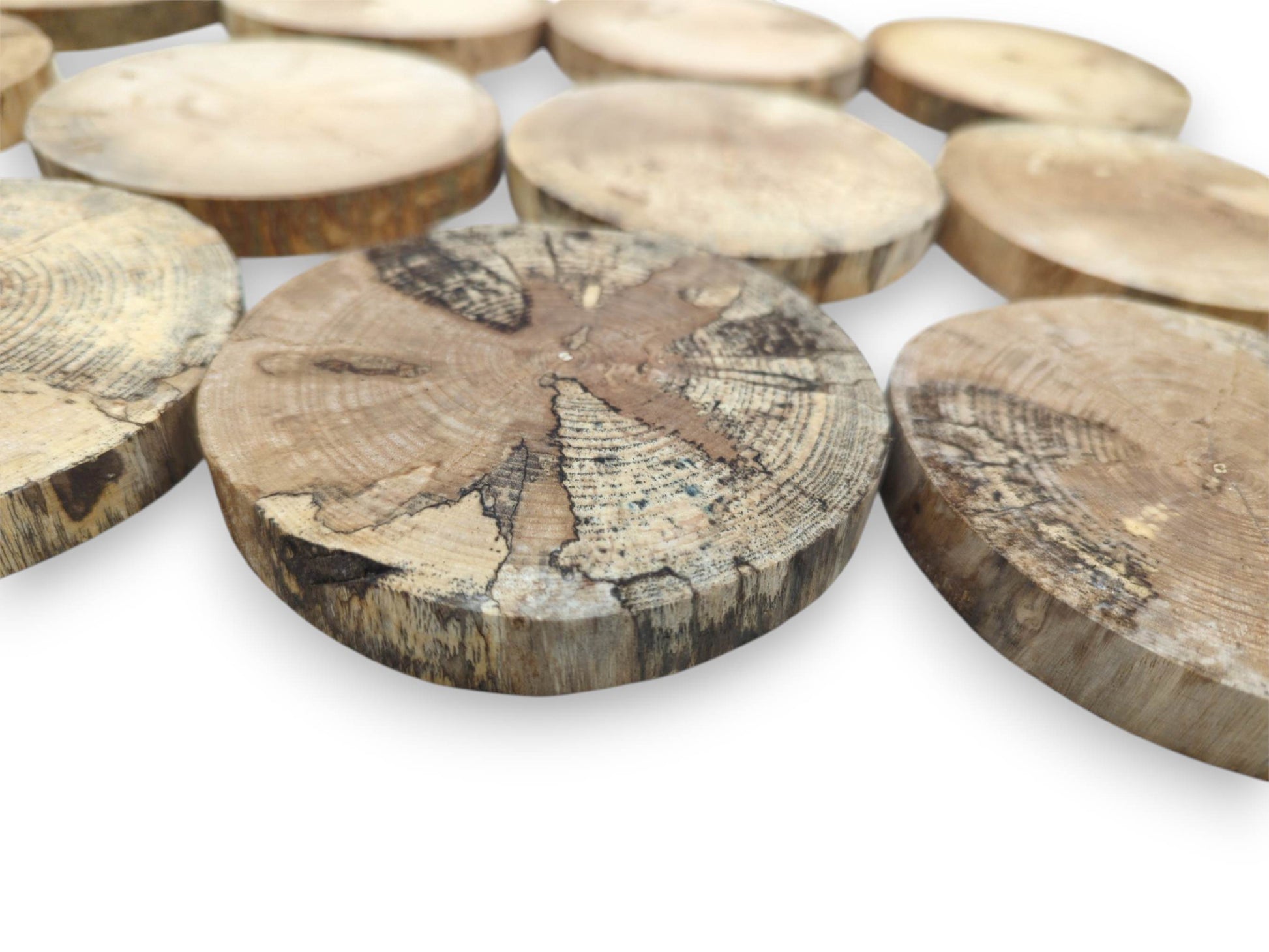 A low-angle view focuses on a spalted timber cross-section with dark, web-like grain patterns.