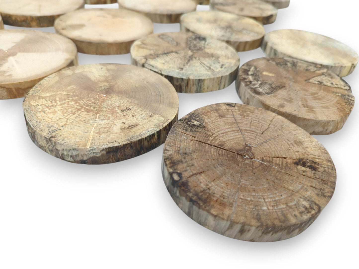 A cracked, ringed timber disc sits in focus before a blurred array of wood rounds.