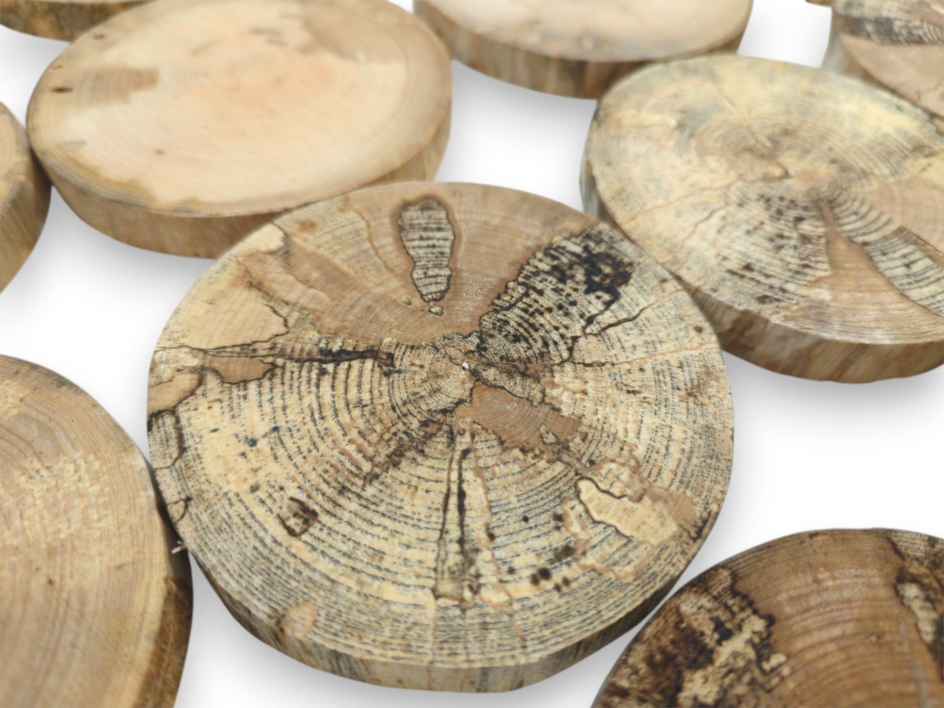 A close-up highlights a spalted timber disc with dark, fractured grain among paler rounds.