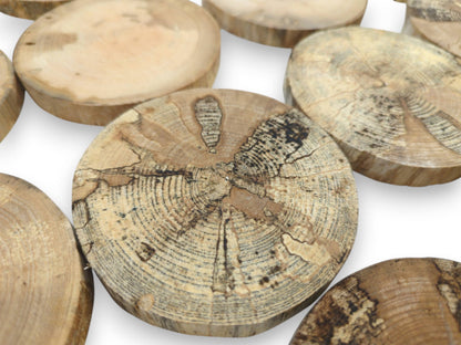 A close-up highlights a spalted timber disc with dark, fractured grain among paler rounds.