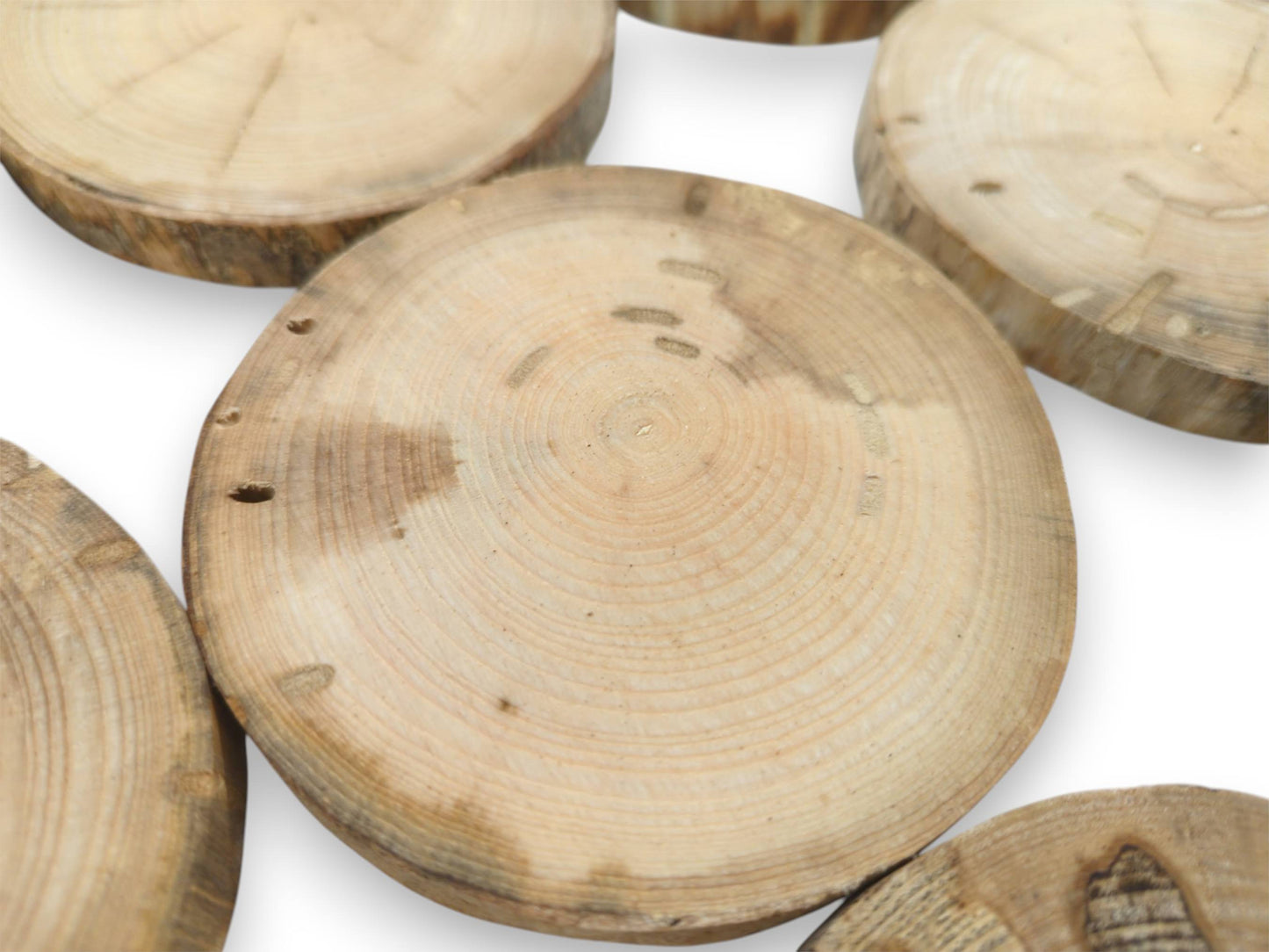 A central wood round shows faint growth rings and insect trails among similar timber discs.