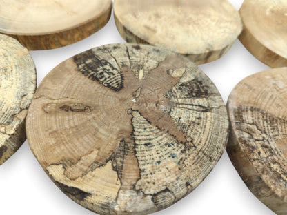 A central timber disc reveals dark, branching spalting that radiates across its growth rings.