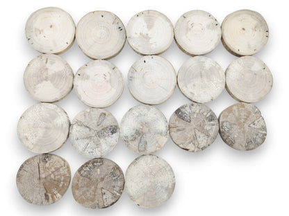 An overhead view of eighteen timber discs arranged from clean-cut to weathered and cracked.