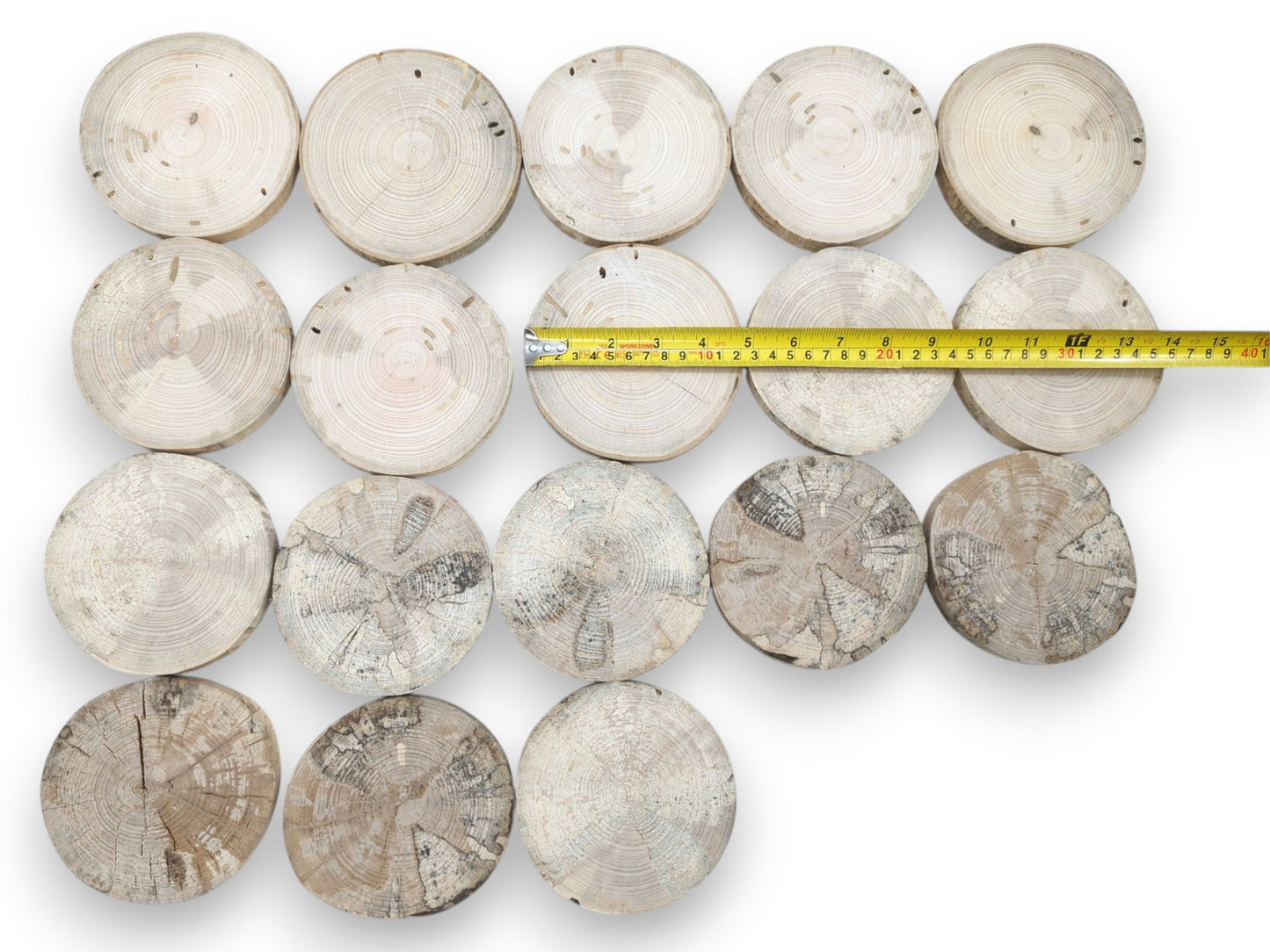 An overhead view of eighteen timber rounds arranged in rows with a yellow measuring tape.
