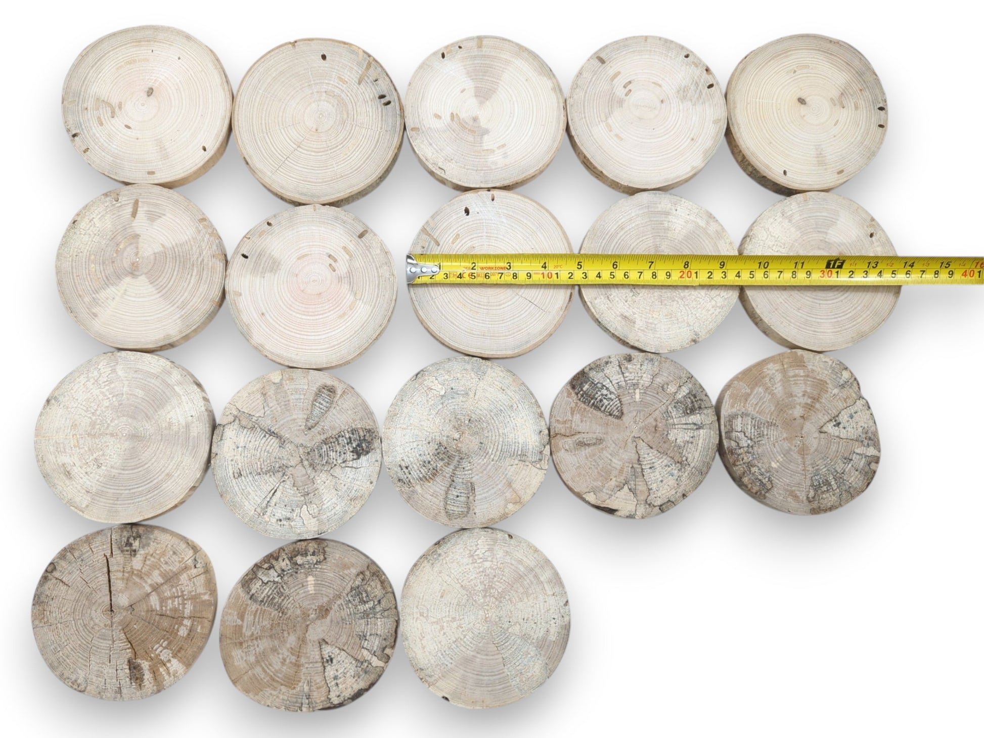 An overhead view of eighteen timber rounds arranged in rows with a yellow measuring tape.
