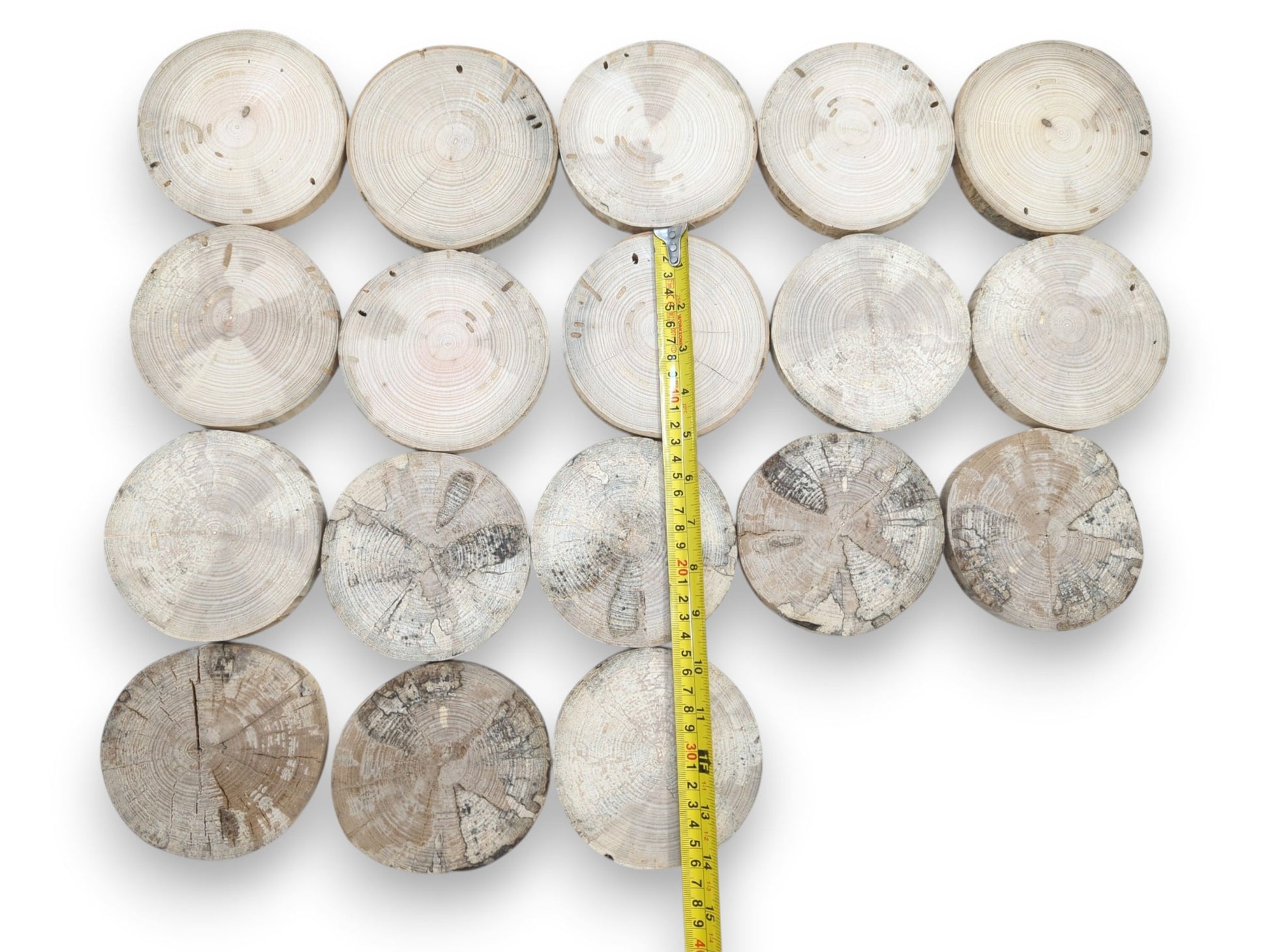 A yellow tape measure lays across eighteen timber rounds showing a gradient of natural decay.