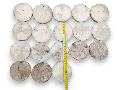 A yellow tape measure lays across eighteen timber rounds showing a gradient of natural decay.