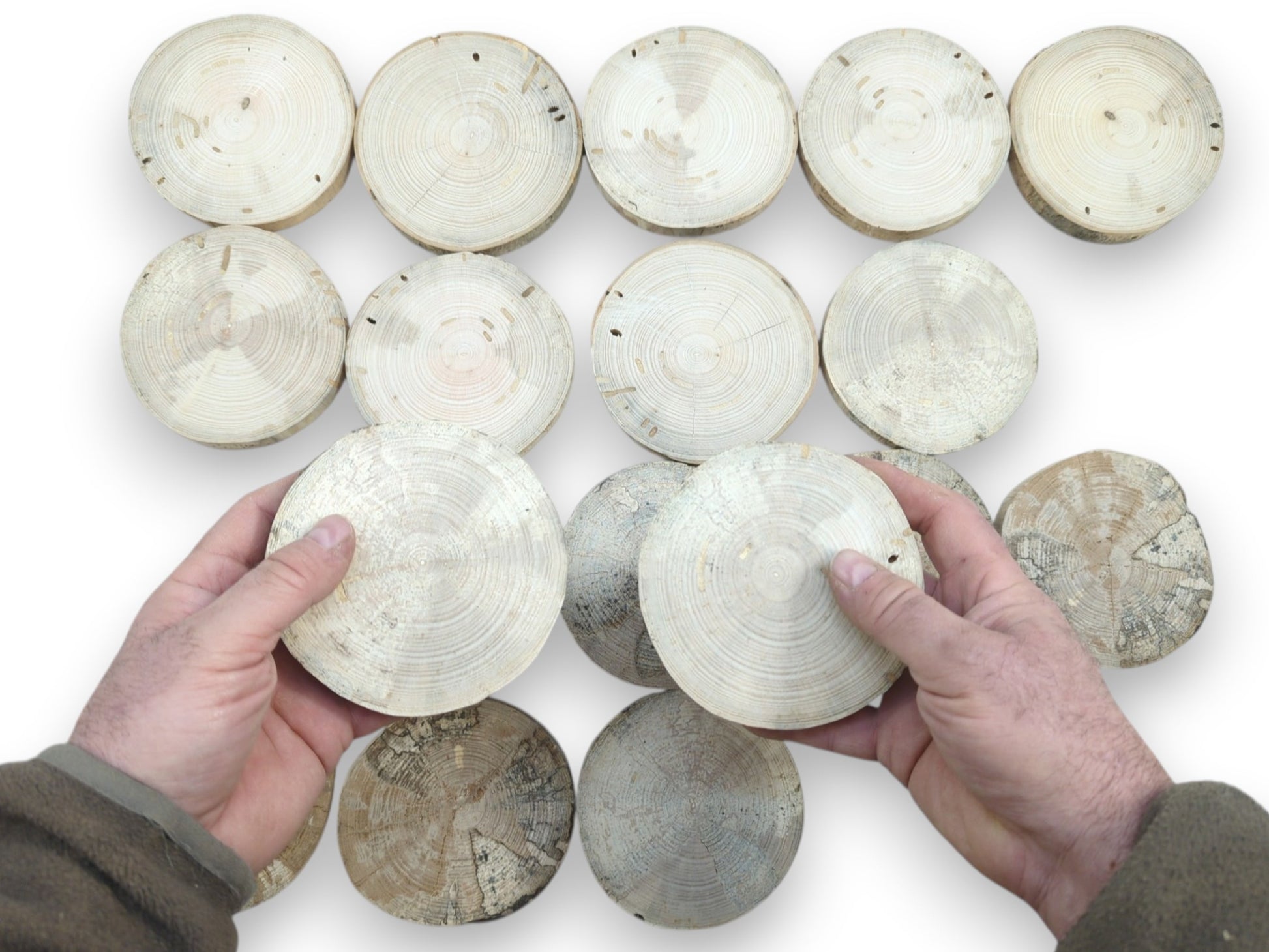 Hands lift two pale, ringed log slices, revealing darker, marbled wood discs below.