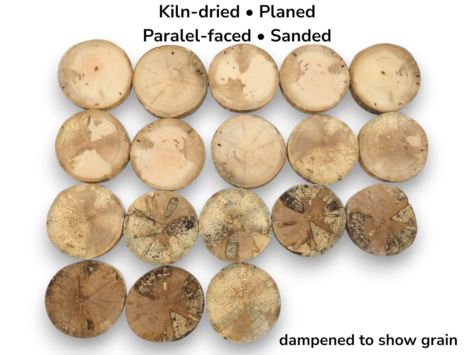 An overhead view of eighteen wood cookies, with lower rows showing dark, complex spalted patterns.