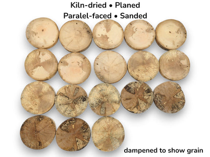An overhead view of eighteen wood cookies, with lower rows showing dark, complex spalted patterns.