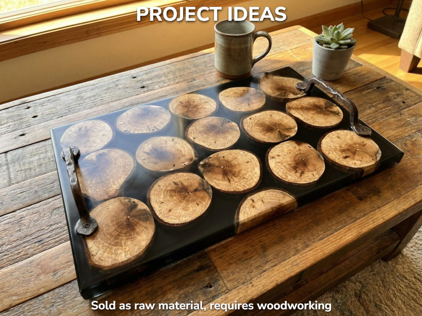 A project idea shows wood rounds with visible growth rings embedded in a glossy tray.
