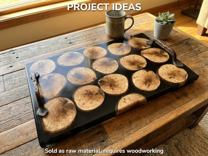 A project idea shows wood rounds with visible growth rings embedded in a glossy tray.