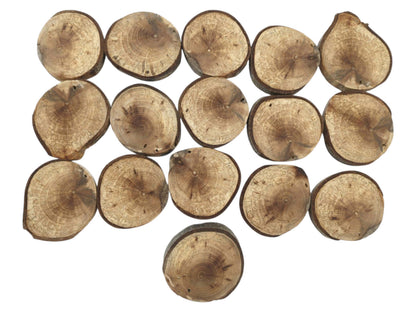 Sixteen natural wood cuts with circular grain patterns and rough bark edges against a white backdrop.