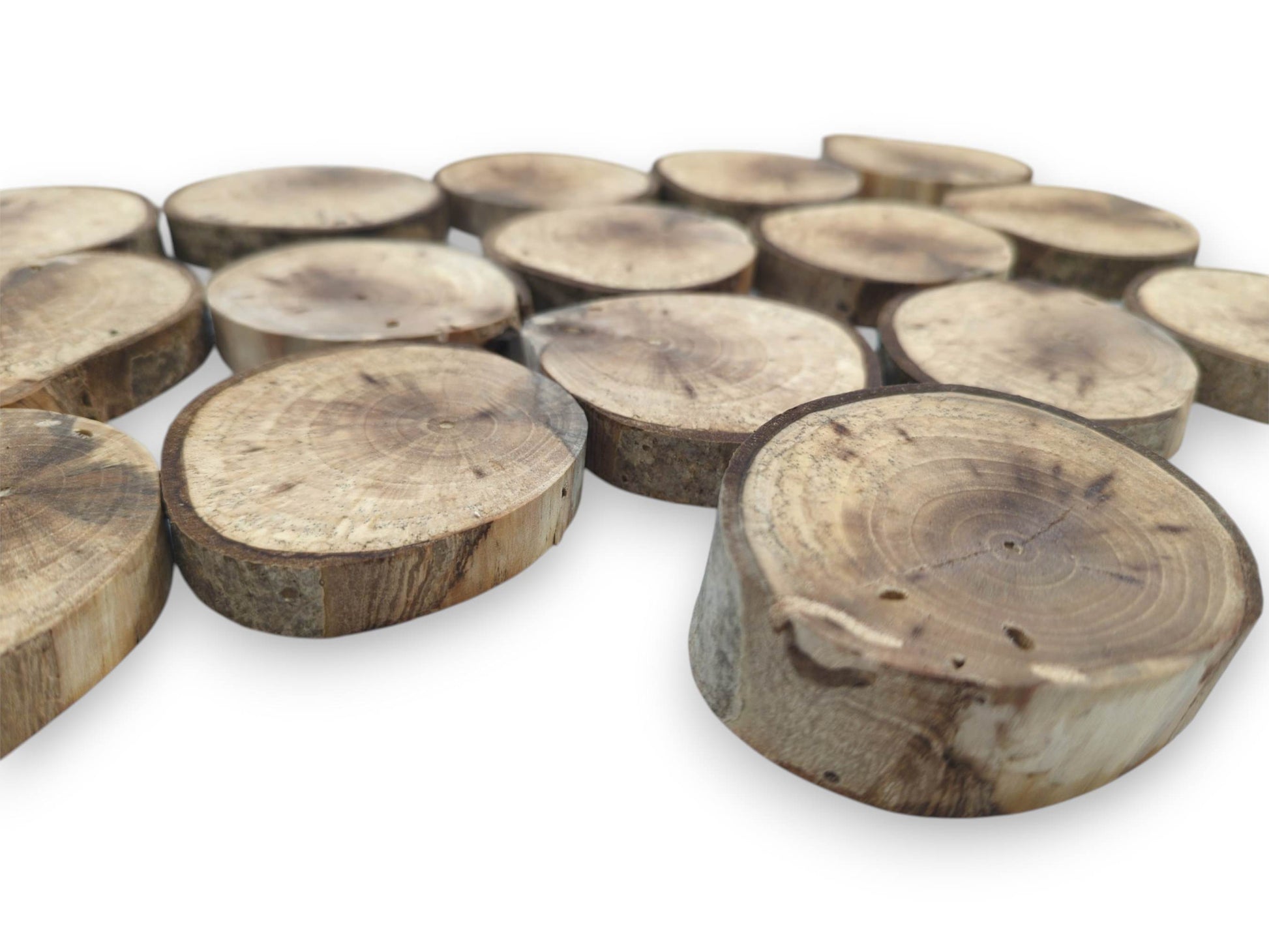A low-angle perspective across scattered, bark-edged timber discs with prominent concentric grain patterns.