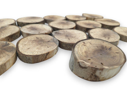 A low-angle perspective across scattered, bark-edged timber discs with prominent concentric grain patterns.