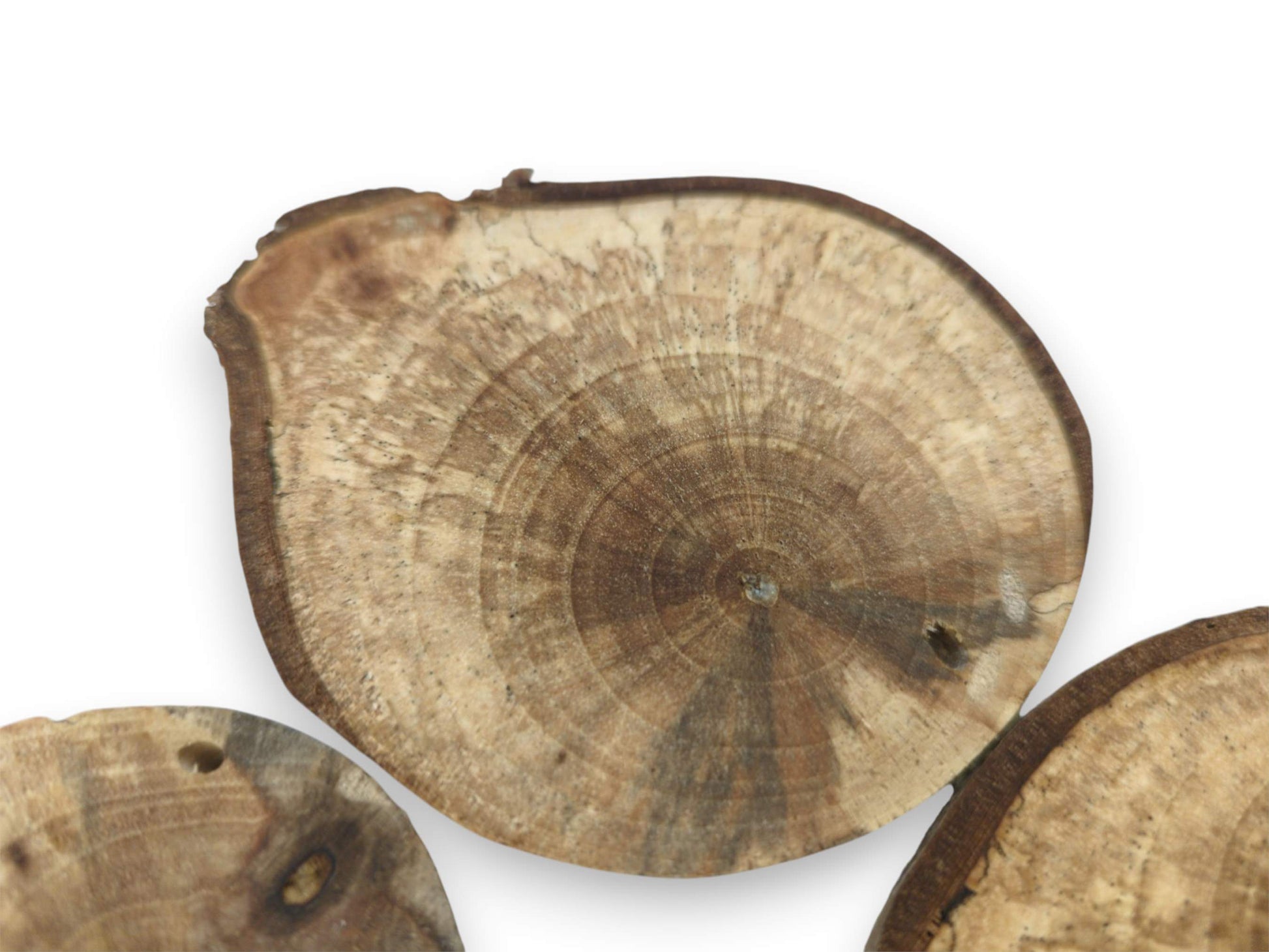 A central timber cross-section features mottled brown coloration, a small knot, and an uneven edge.