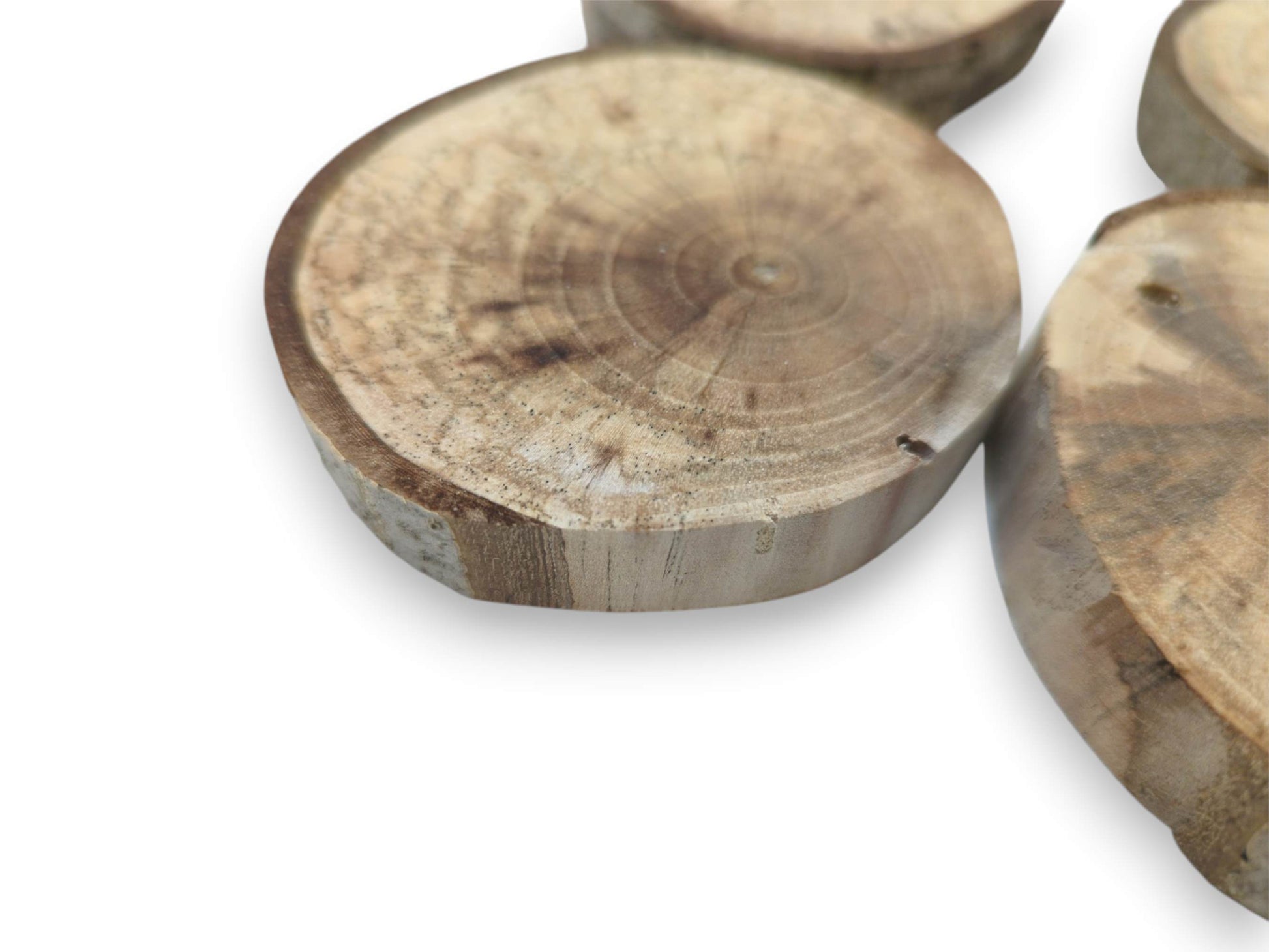 A close-up of several planed wood rounds highlights their circular grain and thick edges.