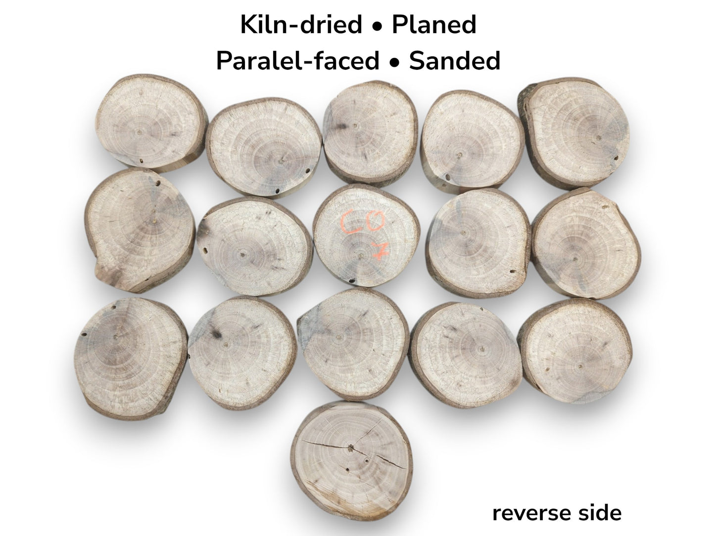 Seventeen sanded branch cross-sections laid flat, one with orange writing and another showing cracks.