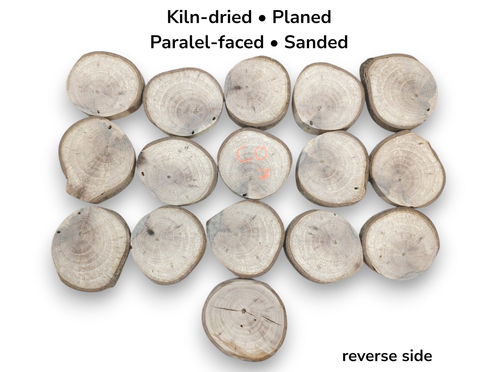 Seventeen sanded branch cross-sections laid flat, one with orange writing and another showing cracks.