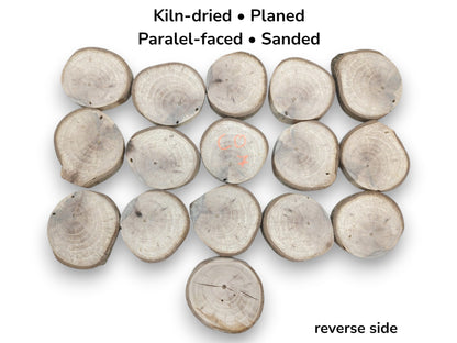 Seventeen sanded branch cross-sections laid flat, one with orange writing and another showing cracks.