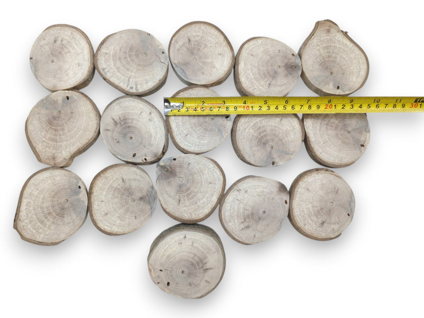 A yellow tape measure sizes sixteen pale, bark-rimmed timber rounds arranged in rows.