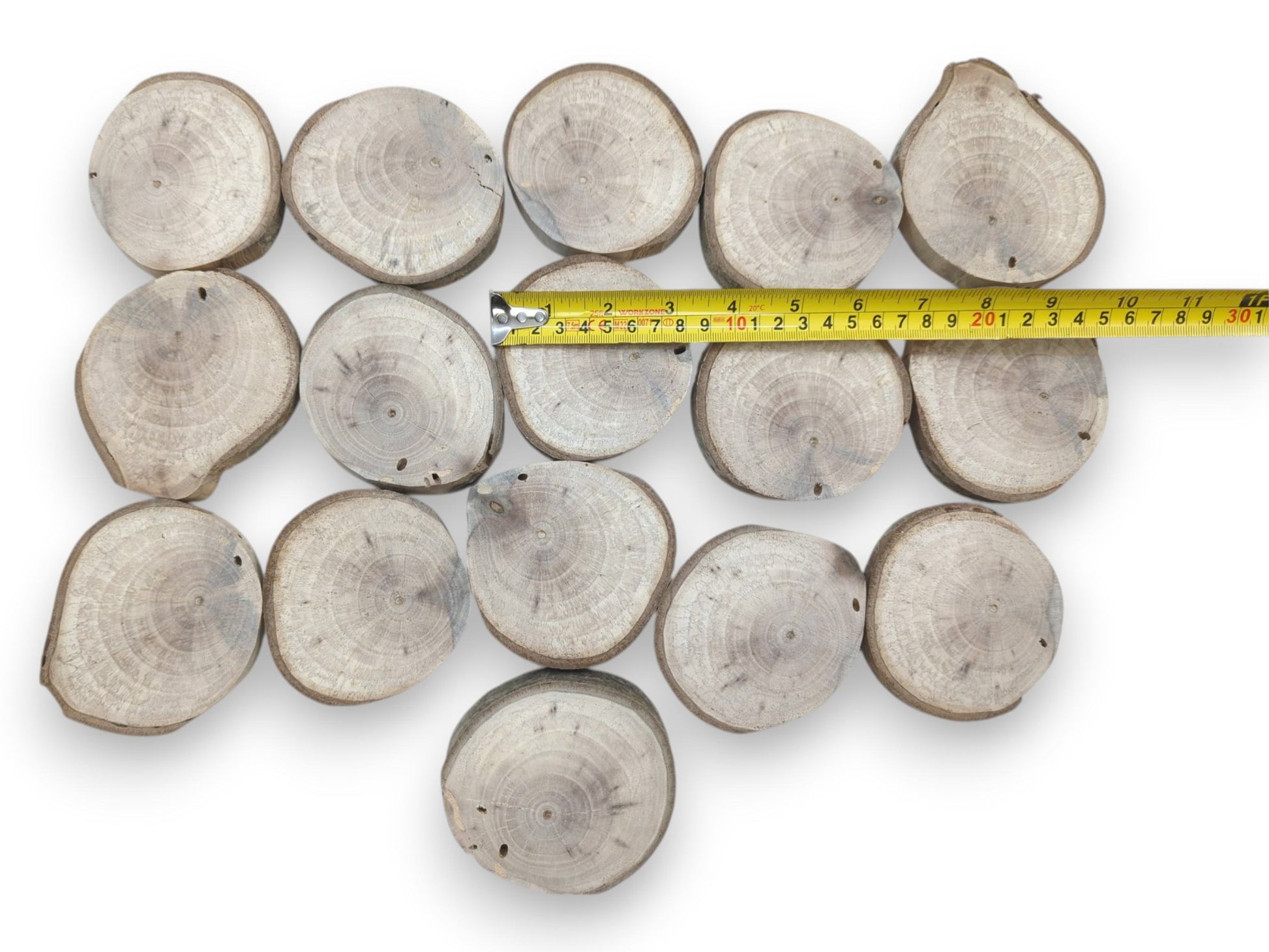 A yellow tape measure sizes sixteen pale, bark-rimmed timber rounds arranged in rows.