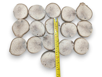 A yellow tape measure is centered on sixteen pale, circular branch segments showing growth rings.