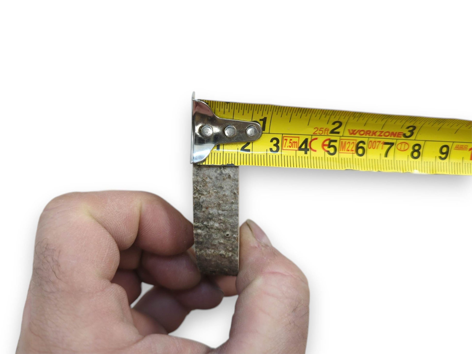 A hand holds a wood round sideways, measuring its bark-covered thickness with a yellow tape.