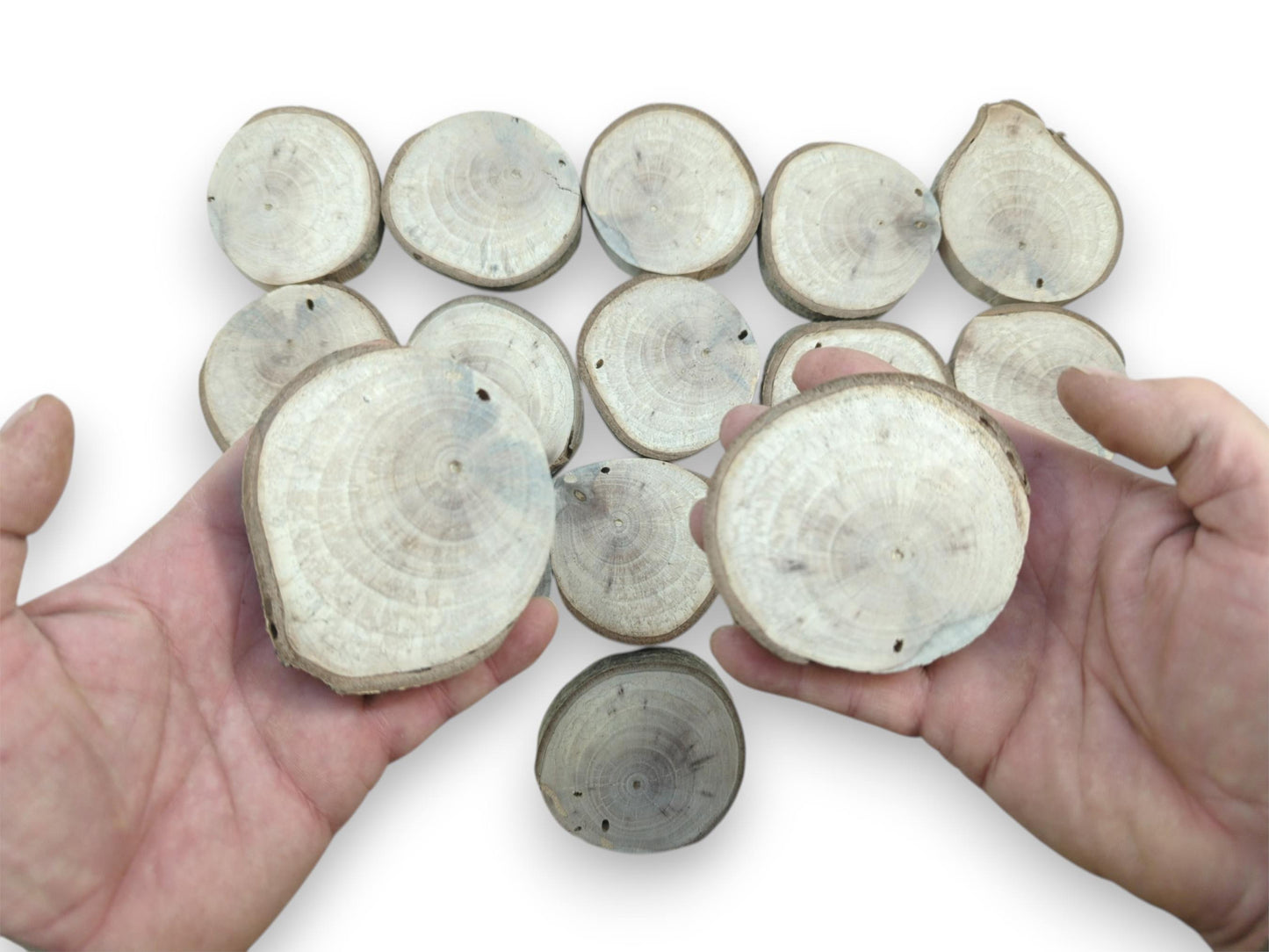A pair of hands presents two pale, bark-edged wood medallions above a scattered pile.