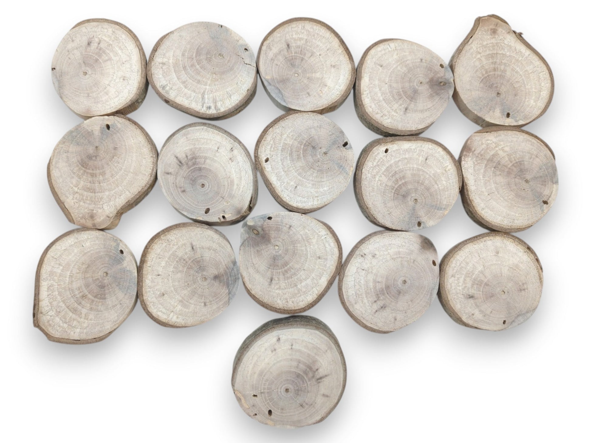 An overhead view of sixteen pale, ringed timber discs with irregular bark-covered edges.