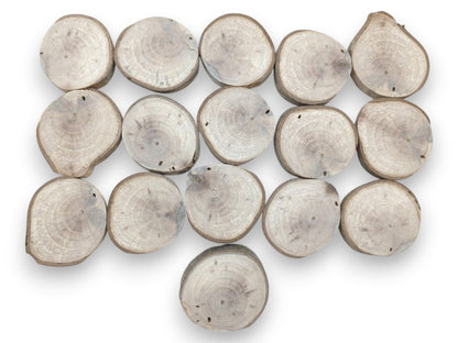 An overhead view of sixteen pale, ringed timber discs with irregular bark-covered edges.