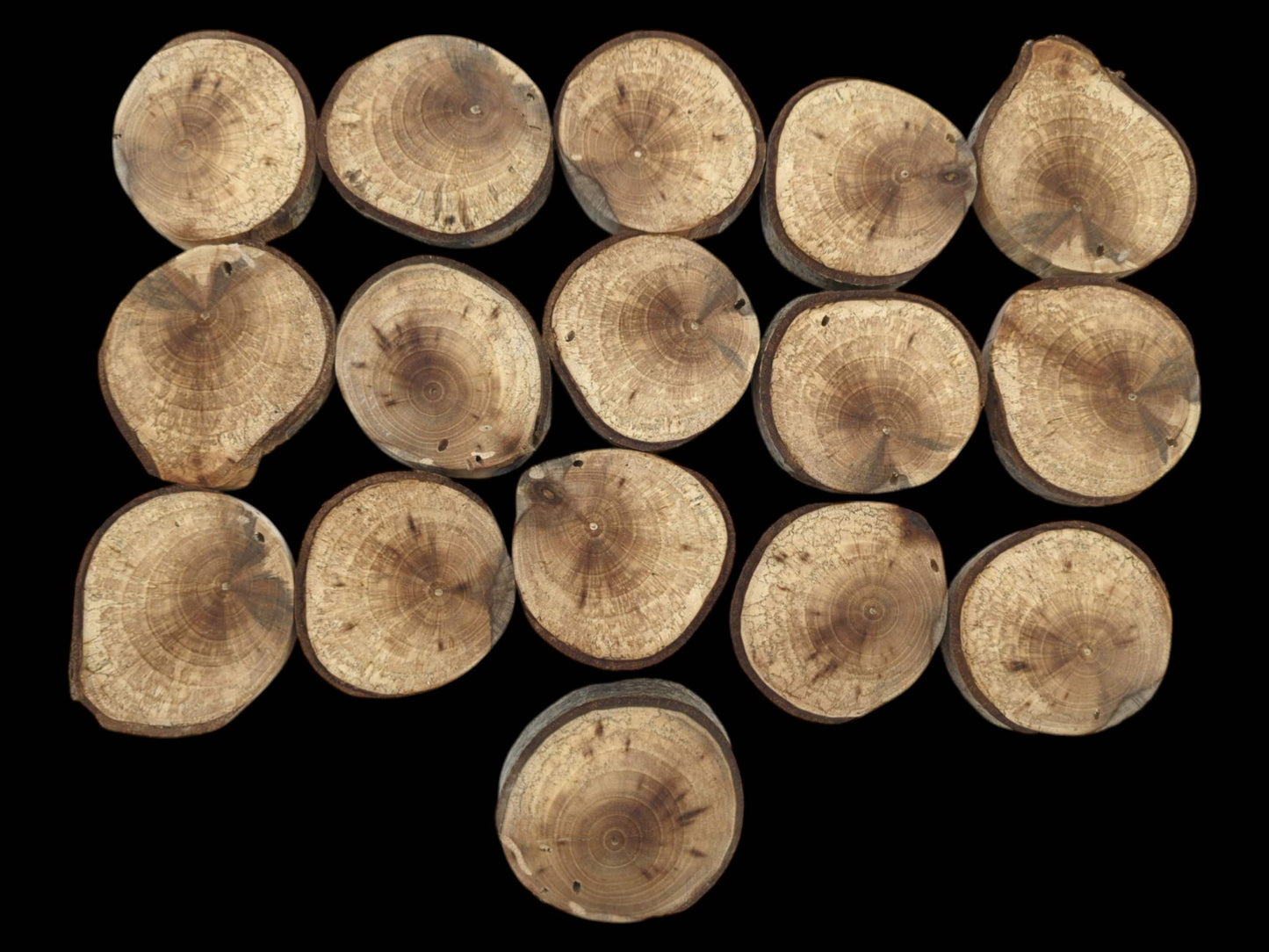 Sixteen planed log discs with dark, partial bark show unique concentric grain patterns.
