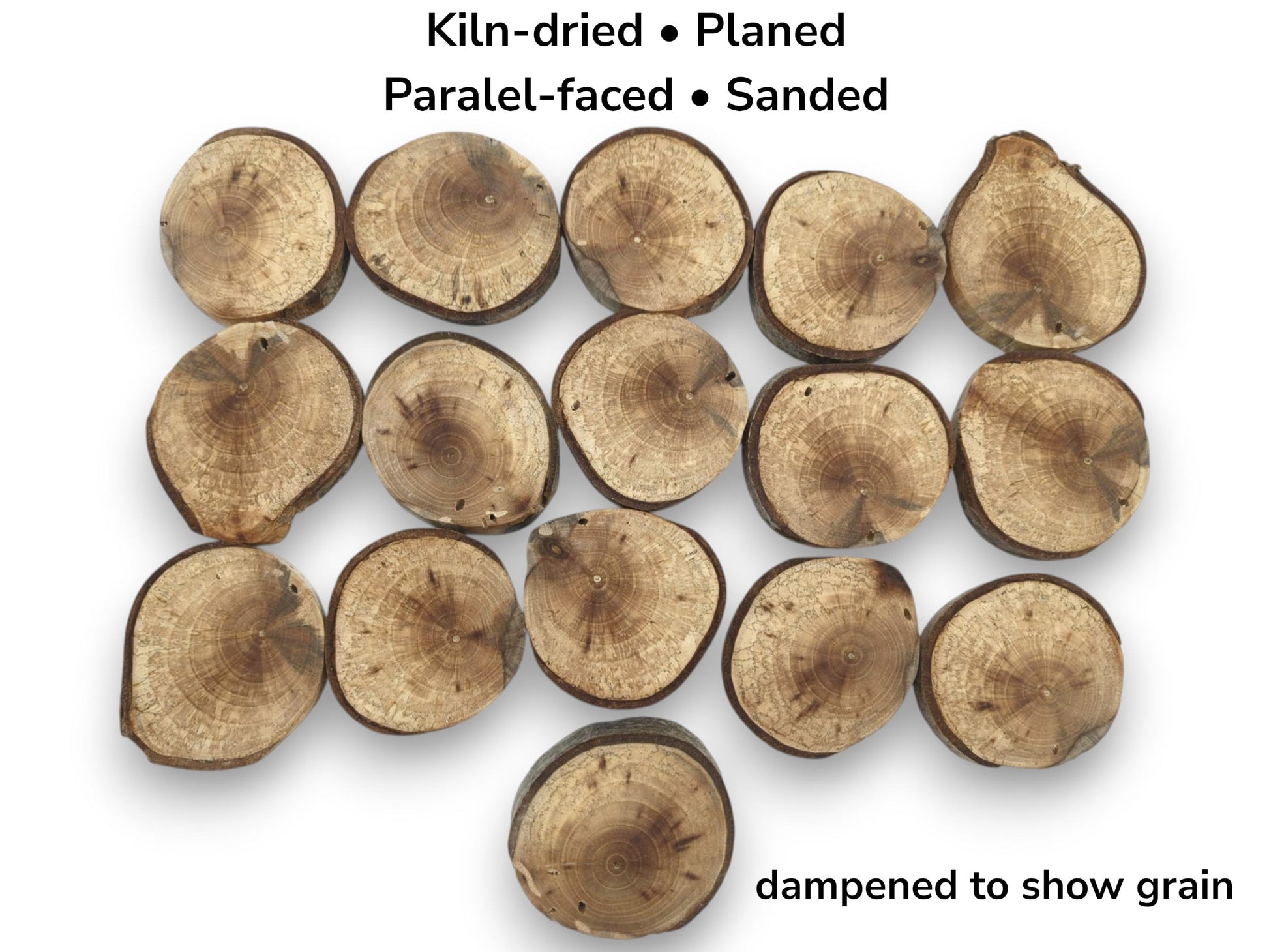 An overhead view of sixteen dampened wood rounds showing detailed annual rings and dark bark.